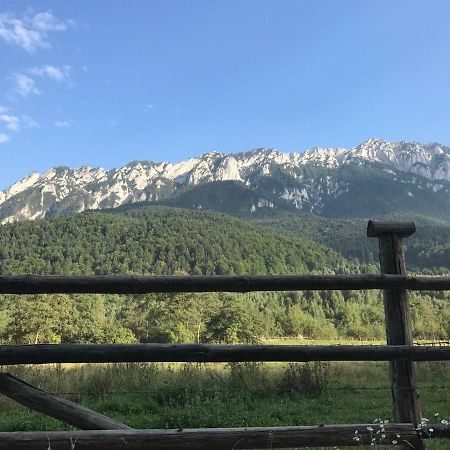 Pensiunea Kyfana Zărneşti Exteriör bild