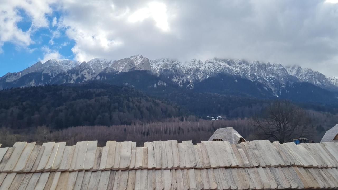 Pensiunea Kyfana Zărneşti Exteriör bild