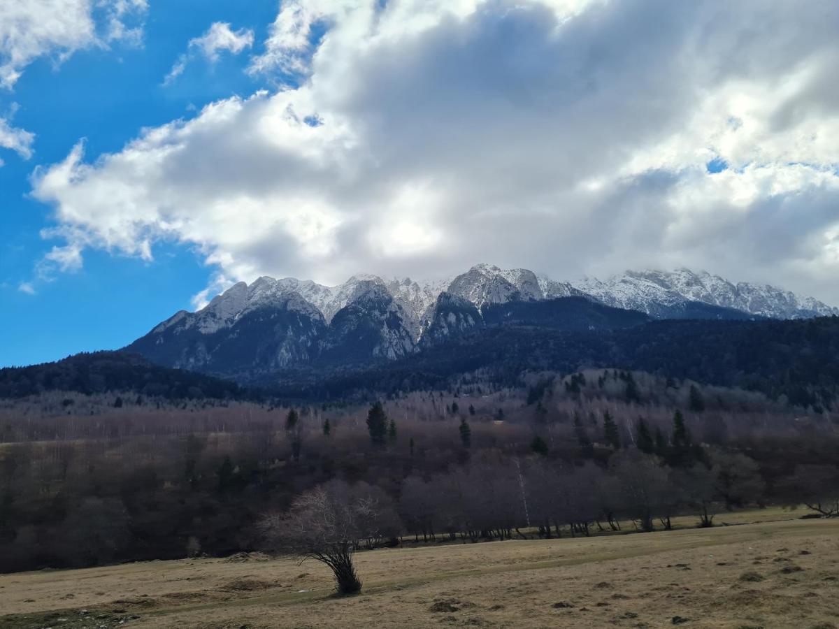 Pensiunea Kyfana Zărneşti Exteriör bild