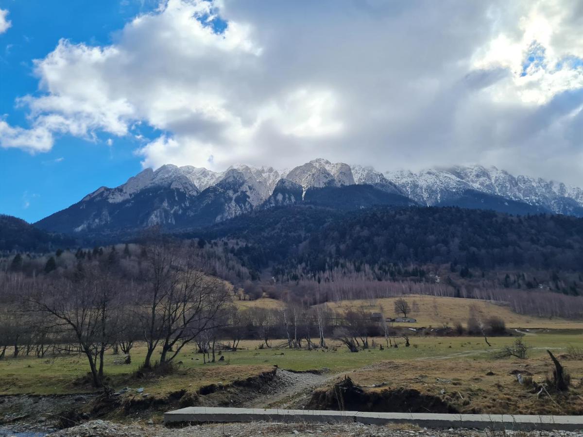 Pensiunea Kyfana Zărneşti Exteriör bild