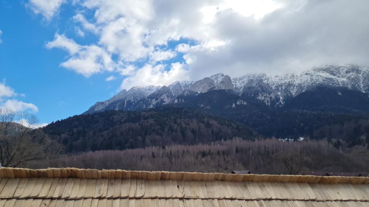 Pensiunea Kyfana Zărneşti Exteriör bild