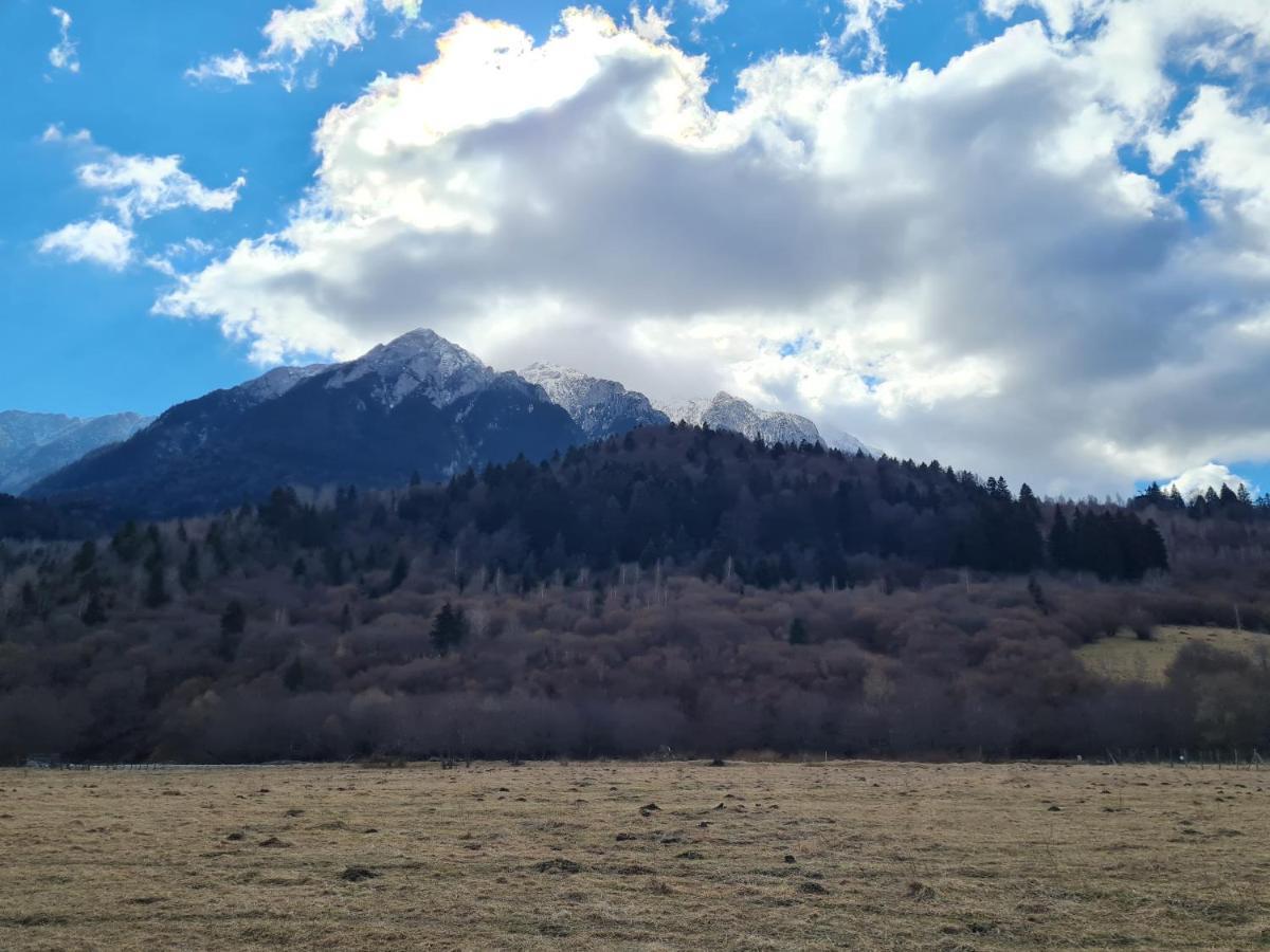 Pensiunea Kyfana Zărneşti Exteriör bild
