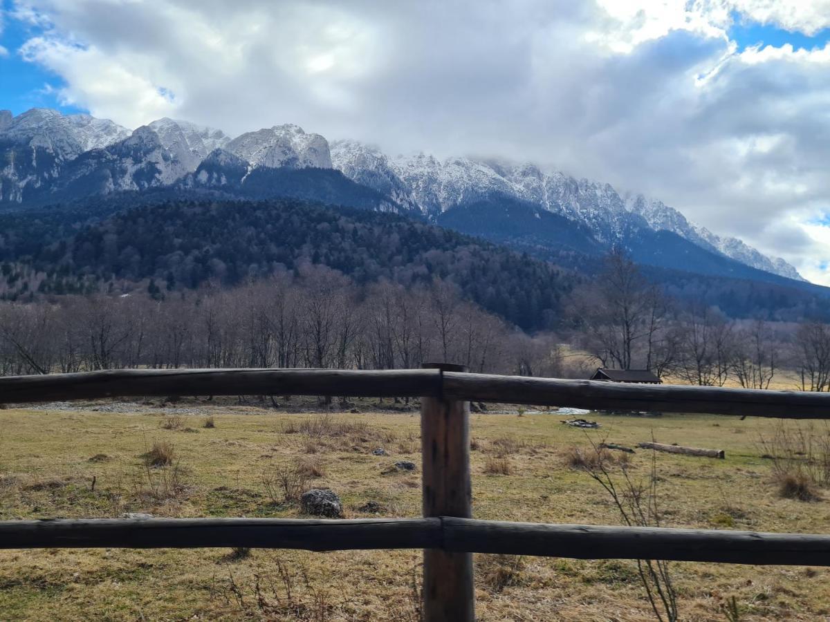 Pensiunea Kyfana Zărneşti Exteriör bild