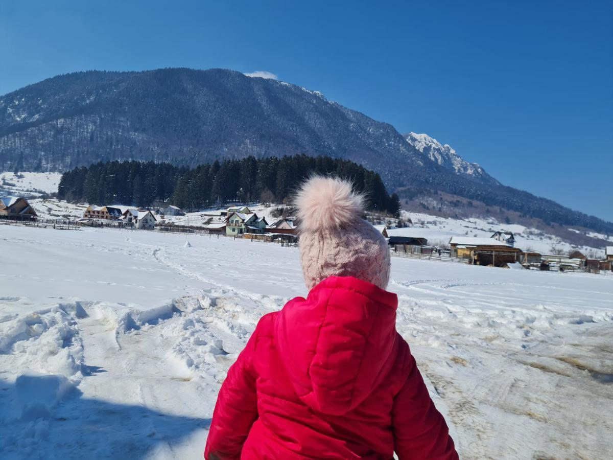Pensiunea Kyfana Zărneşti Exteriör bild