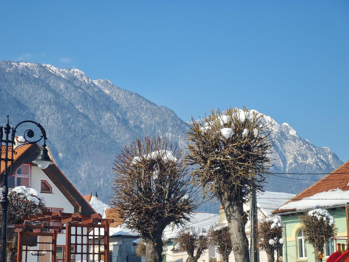 Pensiunea Kyfana Zărneşti Exteriör bild