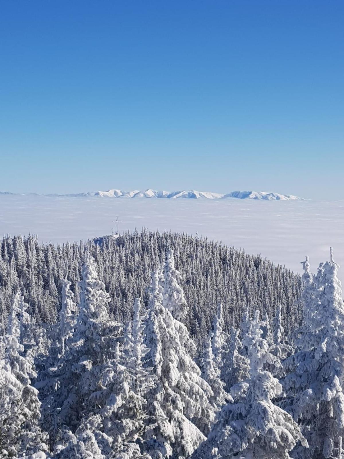 Pensiunea Kyfana Zărneşti Exteriör bild