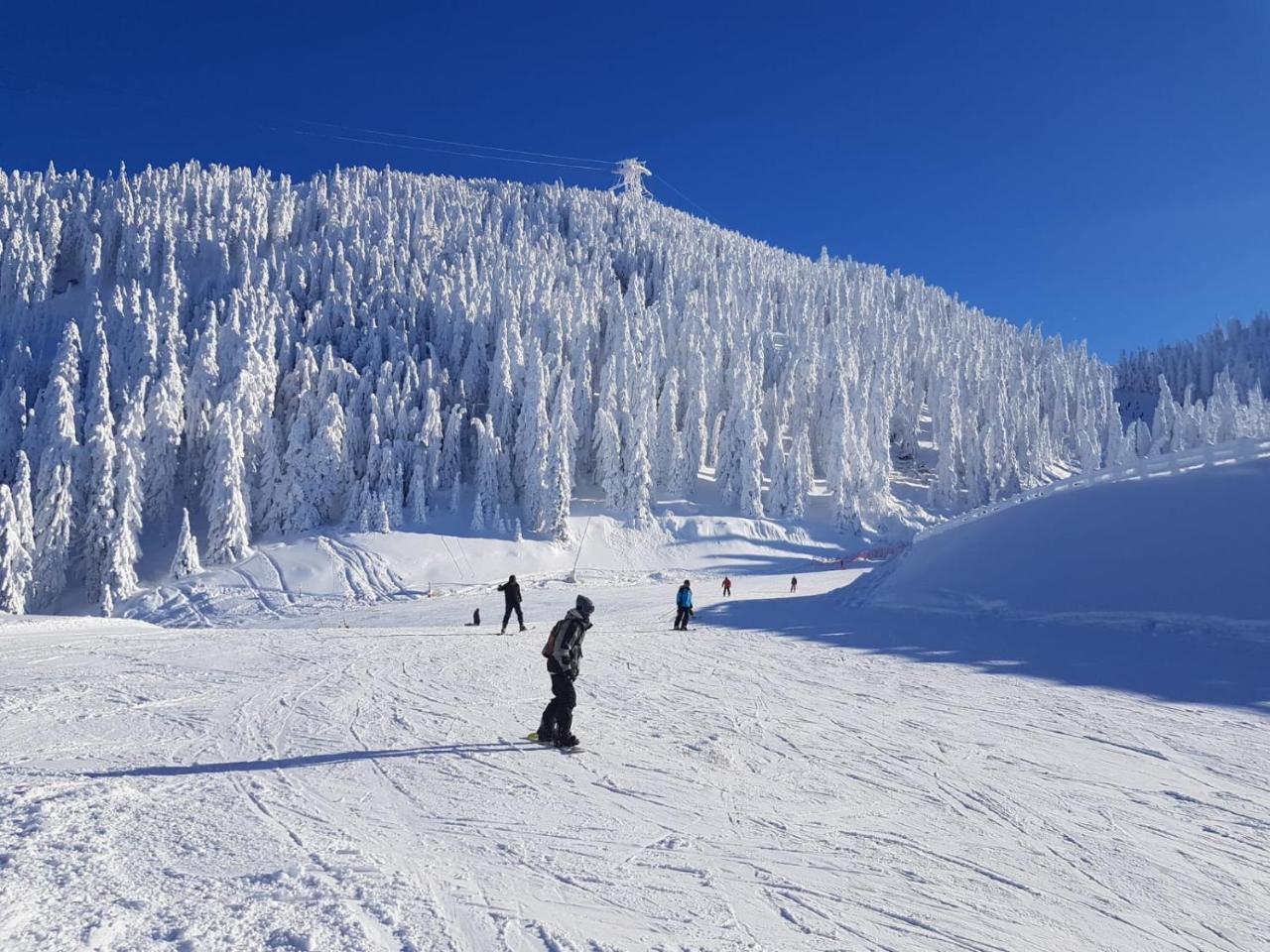 Pensiunea Kyfana Zărneşti Exteriör bild