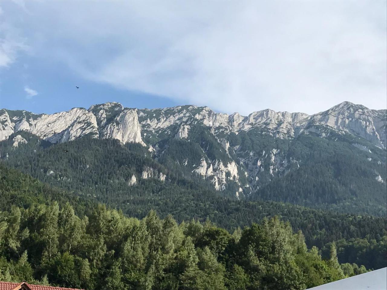 Pensiunea Kyfana Zărneşti Exteriör bild