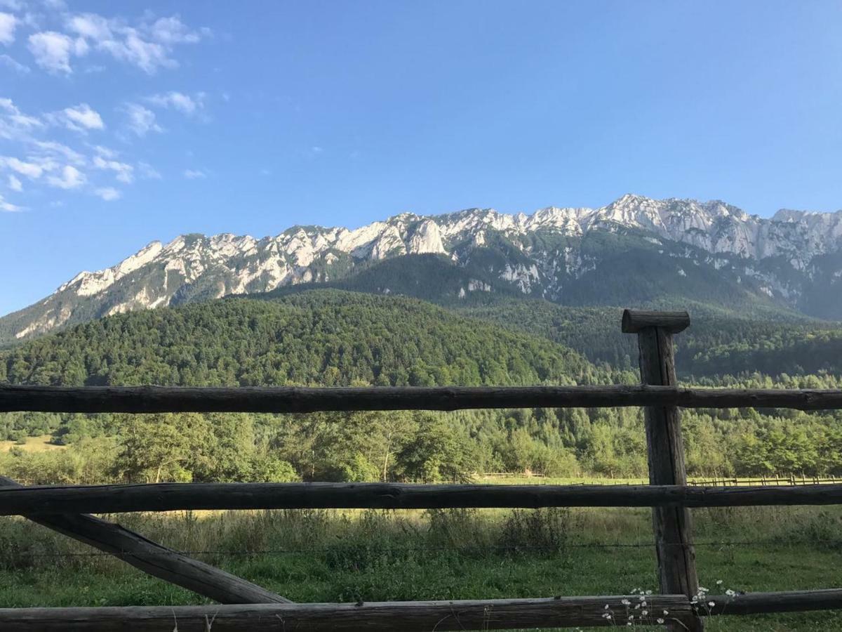 Pensiunea Kyfana Zărneşti Exteriör bild